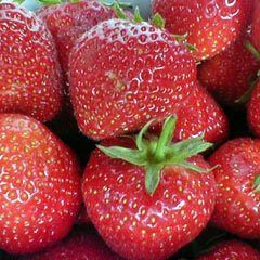 Frozen Strawberries