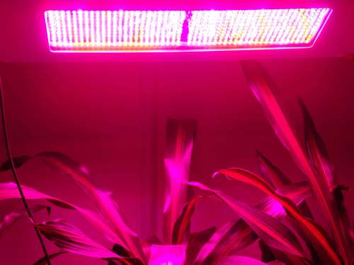 LED Grow Light