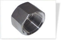 Stainless Steel Nut