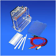 Vertical Electrophoresis Unit