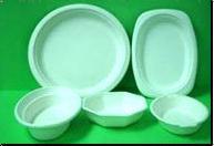 Disposable Serving Trays