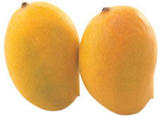 Kesar Mangoes