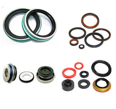 Oil Seals