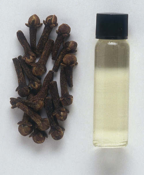 Rectified Clove Oil