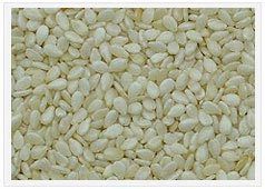 Natural White Sesame Seed