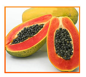 Papaya Pulp