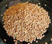 Fenugreek Seeds