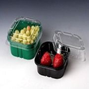 Fruit Packaging Tray