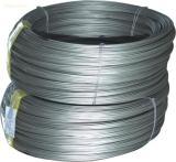 Stainless Steel Wires