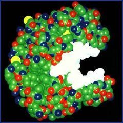 Biological Enzyme