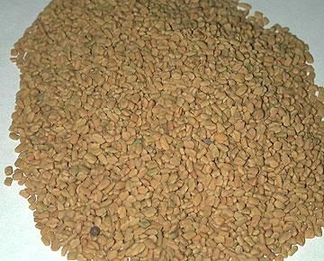 Fenugreek Seed