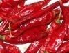 Red Chillies