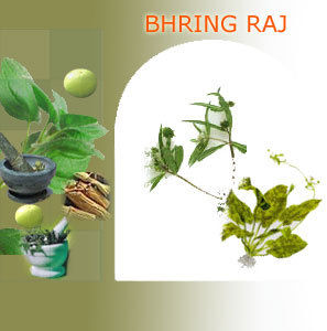 BHRING RAJ