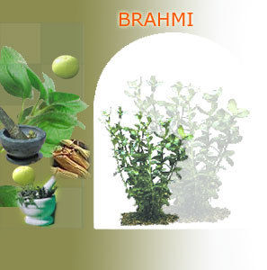 BRAHMI