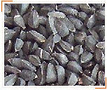 Niger Seeds