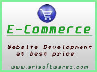 Professional E-Commerce