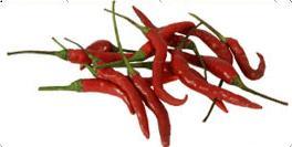 Red Chilli