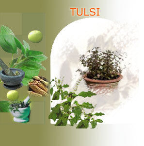 TULSI