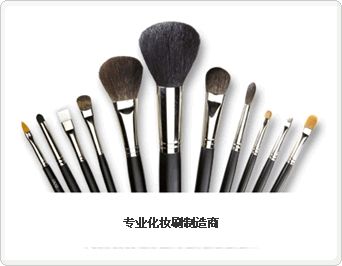 Cosmetic Brush