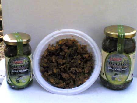 Amla Chutney - 500g & 250g Packs | Sweet and Spicy, Ginger & Garlic Enriched, Dry Fruit Infused, Health Benefits