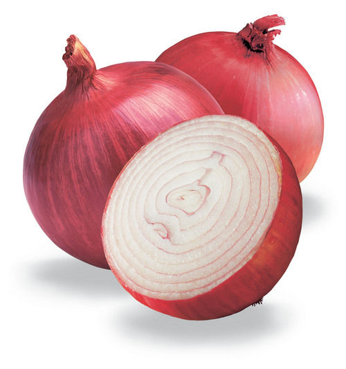 Fresh Onion