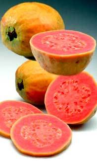 Pink Guava Pulp