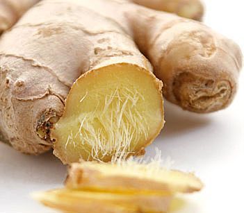 Fresh Ginger - Tender Young Roots | Ideal for Asian Dishes, Pickles, Salads, and Baking