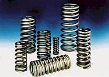 VALVE SPRINGS