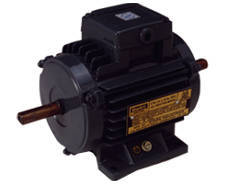 Double Side Shaft Electric Motors