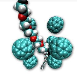 anionic polymer