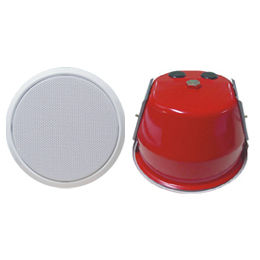 6 Watt Ceiling Iron Speaker