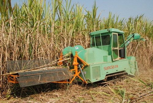 Combine Sugarcane Harvester Machine