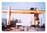 Heavy Duty Gantry Cranes