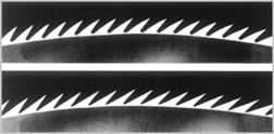 Tooth Profile