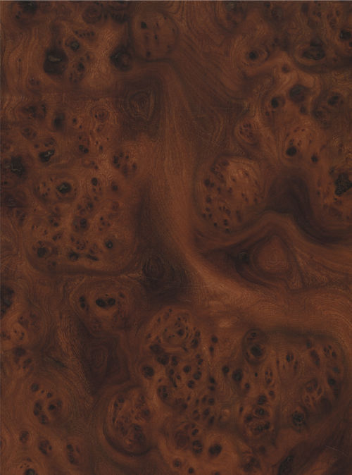 Wear Resistant Red Elm Burl Plywood Sheet