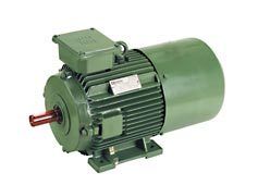 Green Heavy Duty Inverter Duty Motors