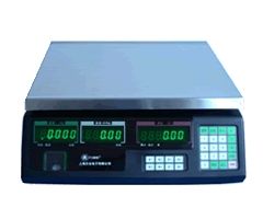 Electronic Bench Scale