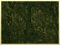 Green Marble