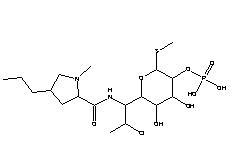 Clindamycin Phosphate