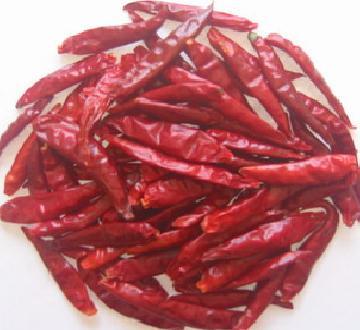 Dried Red Chillies