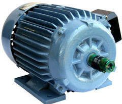 Inverter Duty Motors