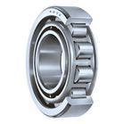 Roller Bearing