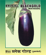 Brinjal Seeds