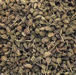 Ajwain Oil