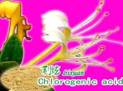 Chlorogenic Acid