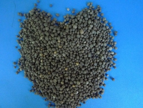 DAP Diammonium Phosphate