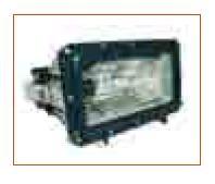 Electric Ex Led Flood Light