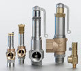 Safety valves for Cryogenic Service