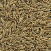 Cumin Seeds