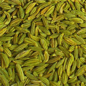 Fennel Seeds